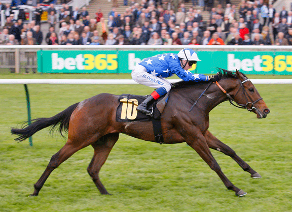 Varian Confirms Duo for 1000 Guineas