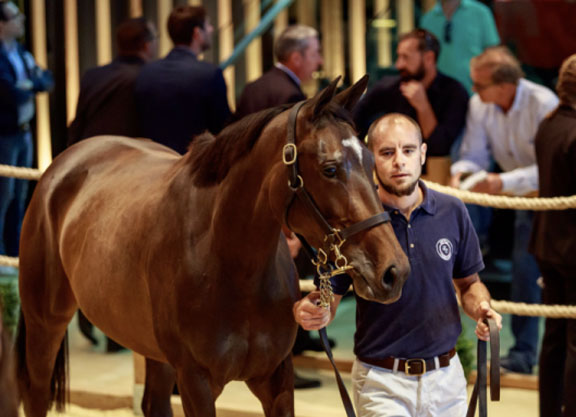 Moonlight Cloud Sister Shines In Deauville
