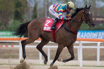 Super Jockey Lives Up to Moniker in Keeneland Korea Sprint