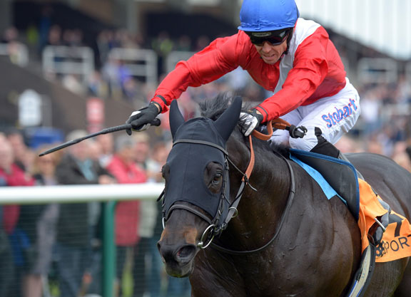 Kingsgate Native Retired From Racing