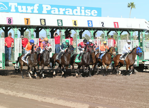 Turf Paradise 2021 Winter/Spring Meet Edges Closer to Reality