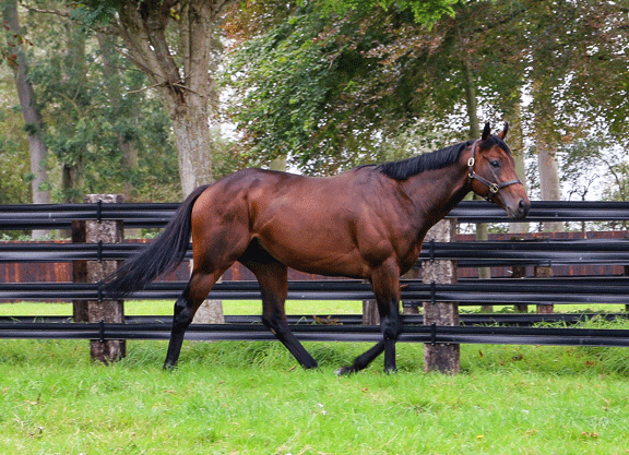 First Winner For Hello Youmzain At Chantilly