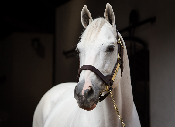 Tapit Doubles Down on Twin Spires