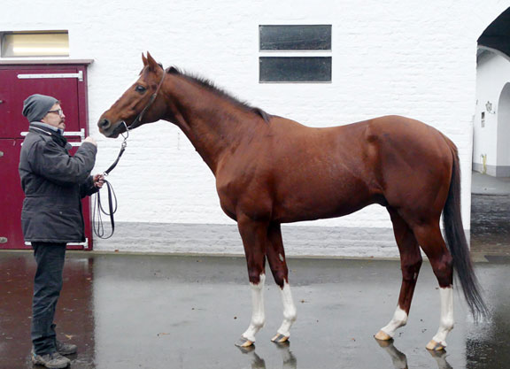 Champion Sire in Germany