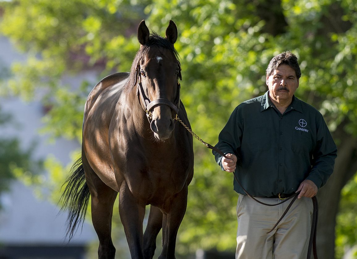 Who Will Be This Year's Leading Freshman Sire? We've Asked the Experts