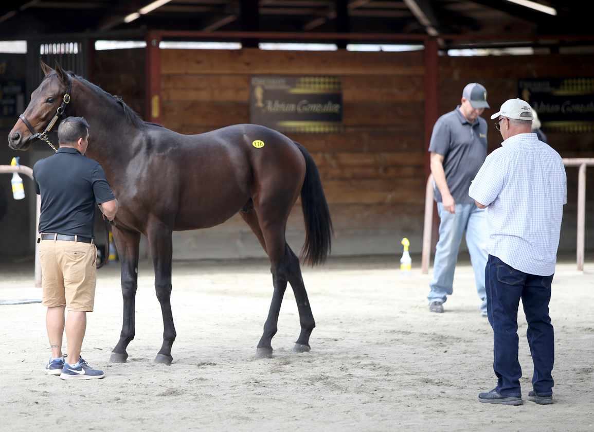 Fasig California Sale To Be Held Tuesday
