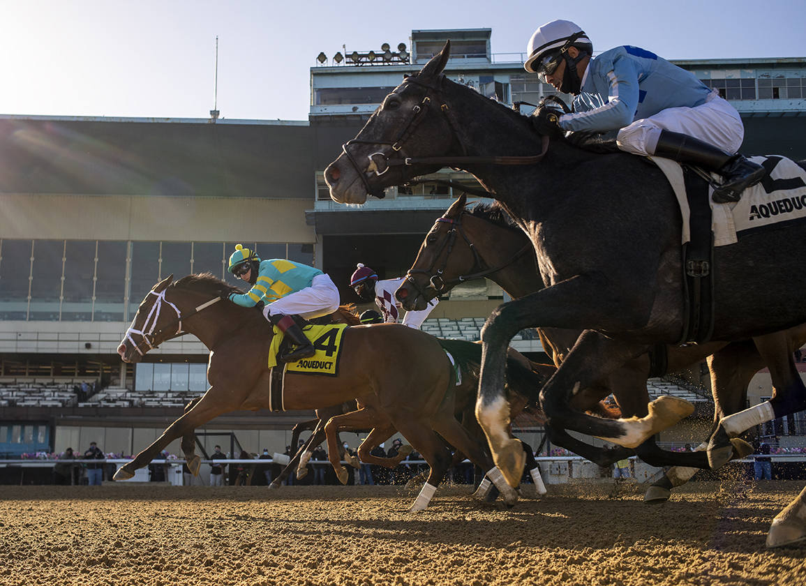 Wood, Carter Highlight Aqueduct Spring Stakes Schedule