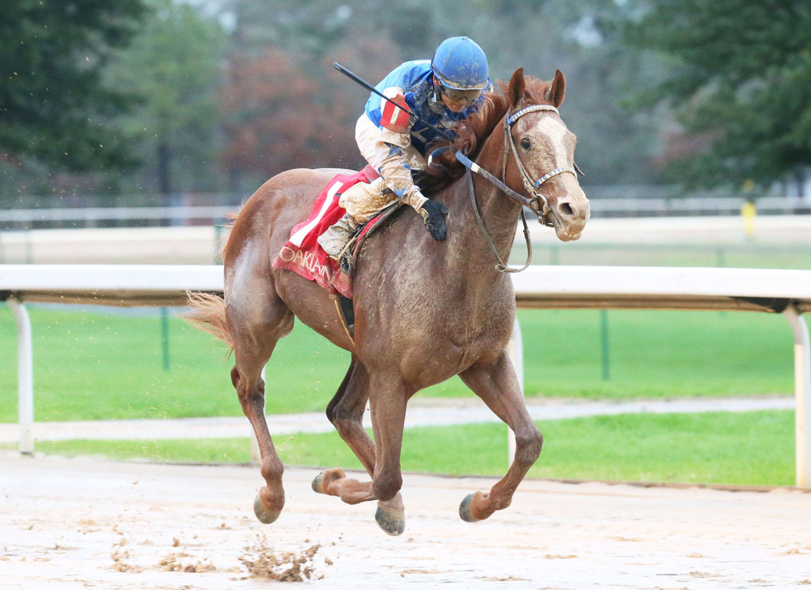 Dash Attack Stays Undefeated in Smarty Jones
