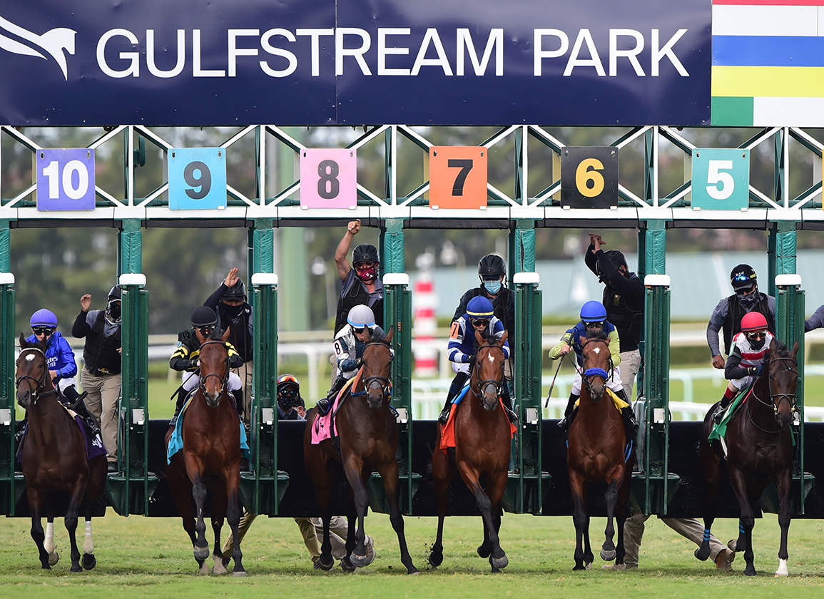 Gulfstream Championship Meet Offers $13.6 Million in Stakes Purses