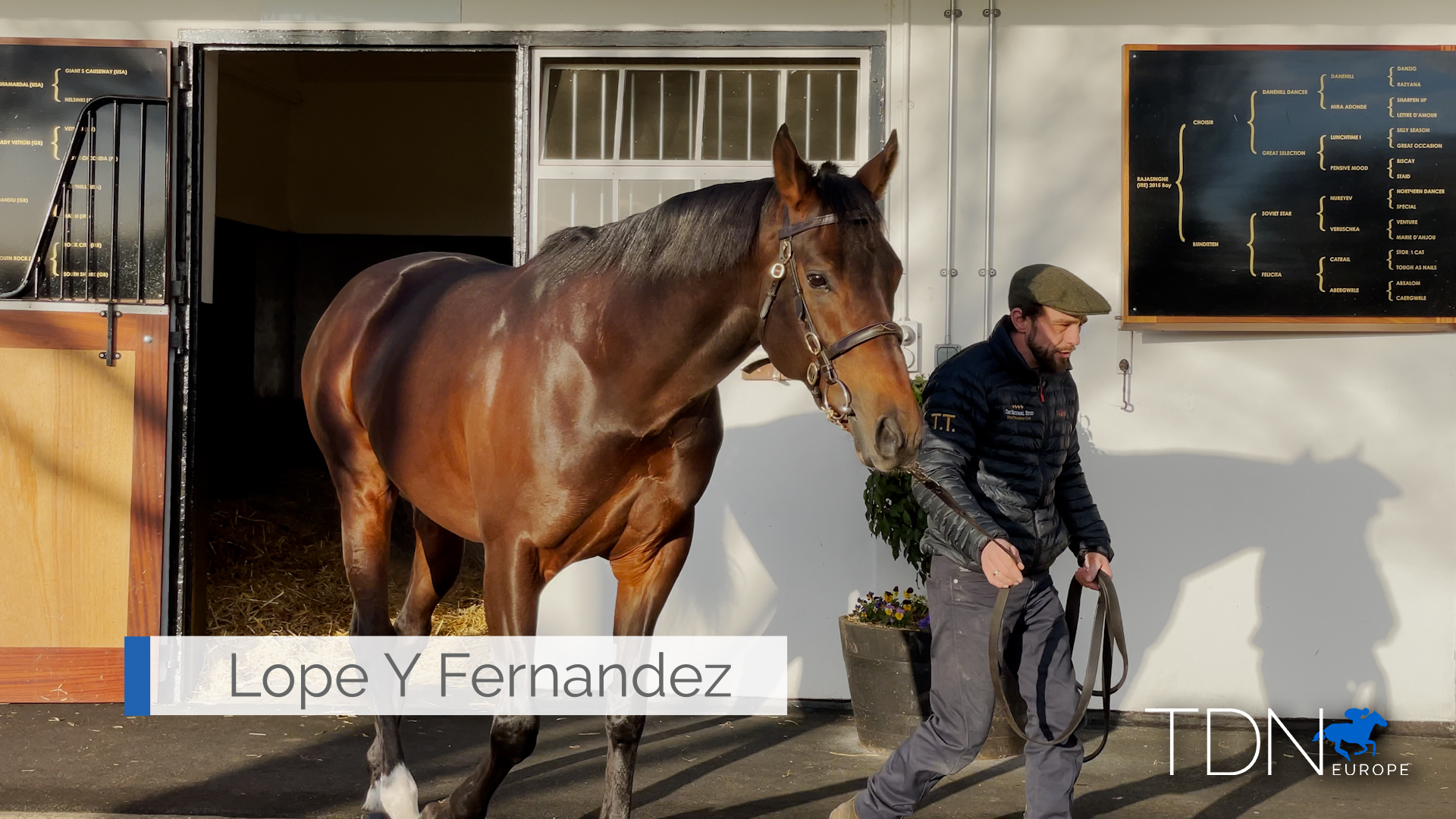 Lope Y Fernandez Set To Score At The National Stud