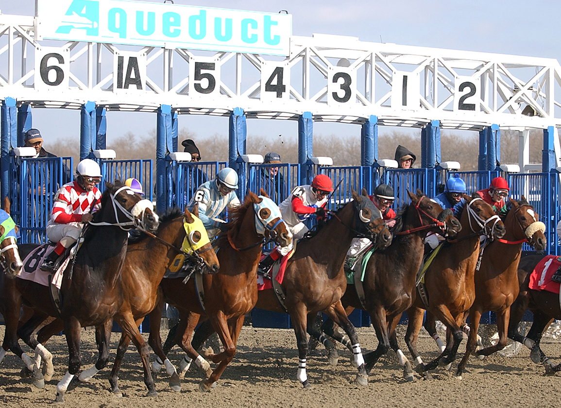 After Graphics Error, NYRA Starters Run For Purse Money Only