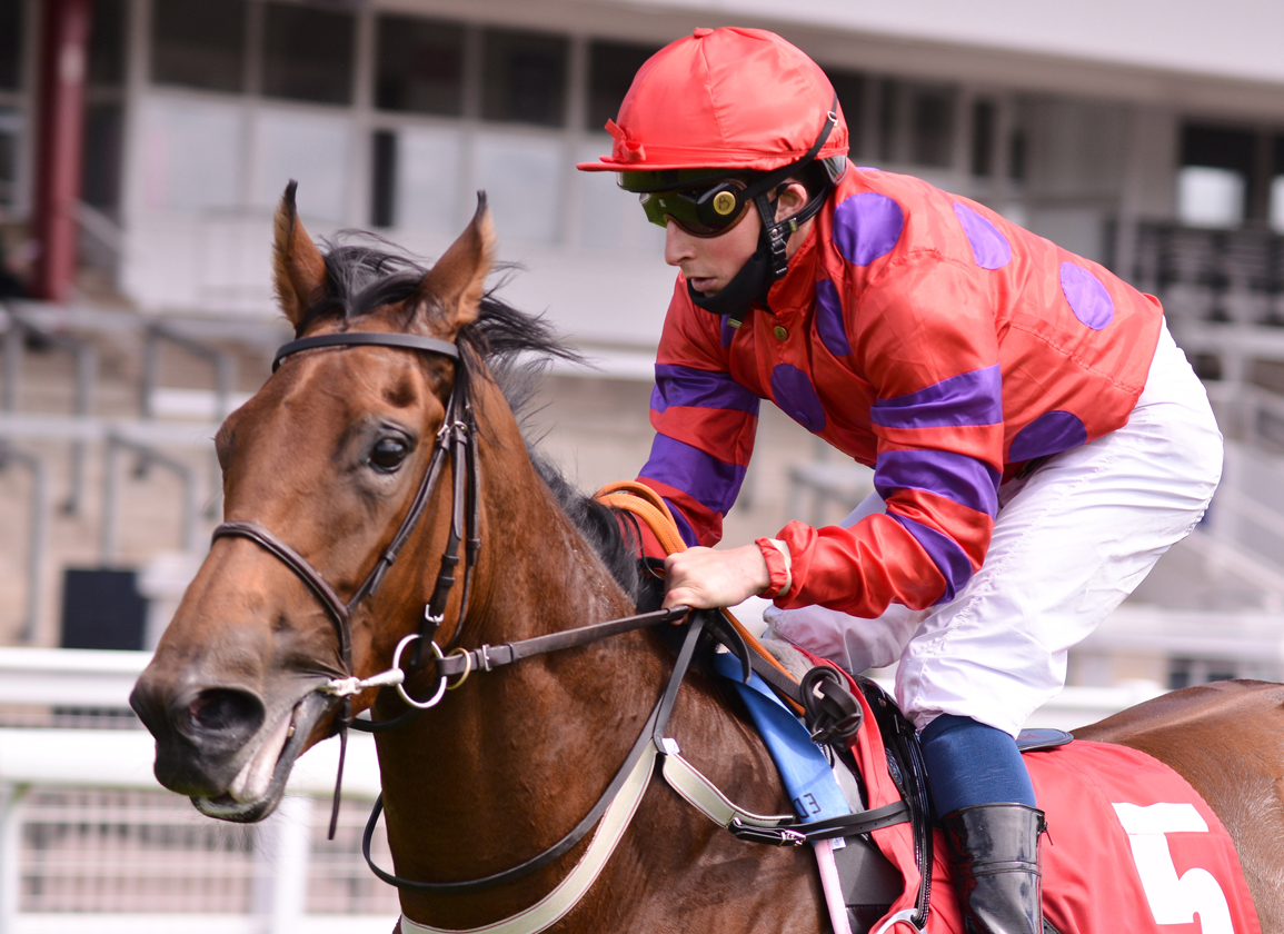 Dreamloper To Face Males In Prix D'Ispahan