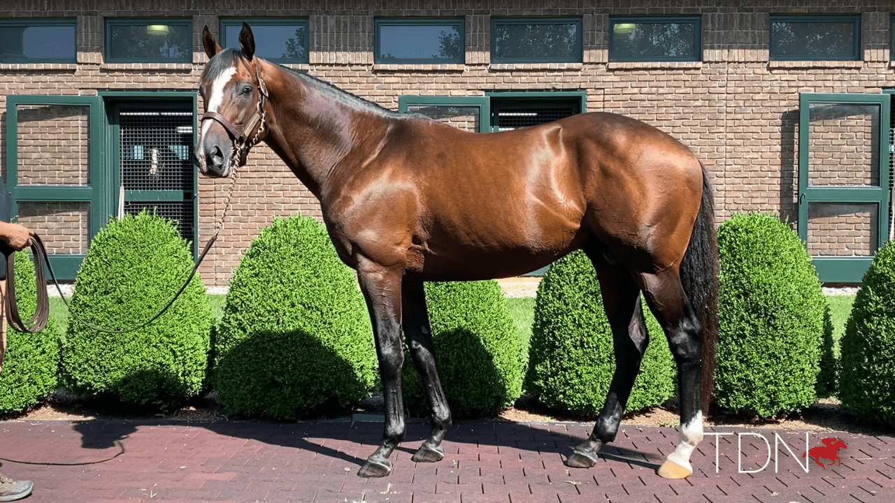 Versatile Racehorse Yoshida Represented by First Yearlings