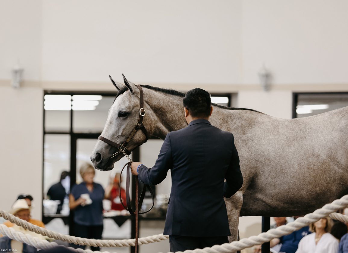 2022 Texas Summer yearling sale