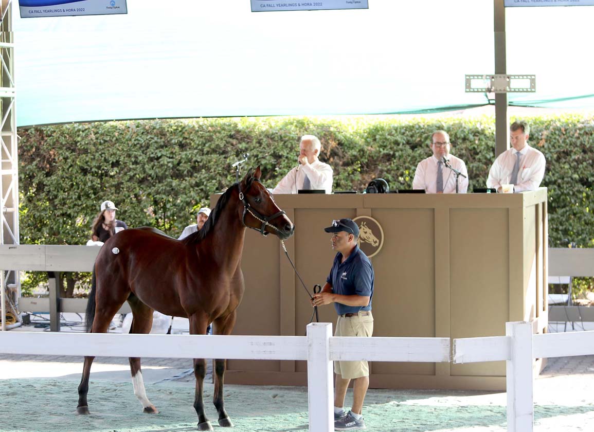 Mr. Big Filly Tops 'Solid' Fasig-Tipton California Sale