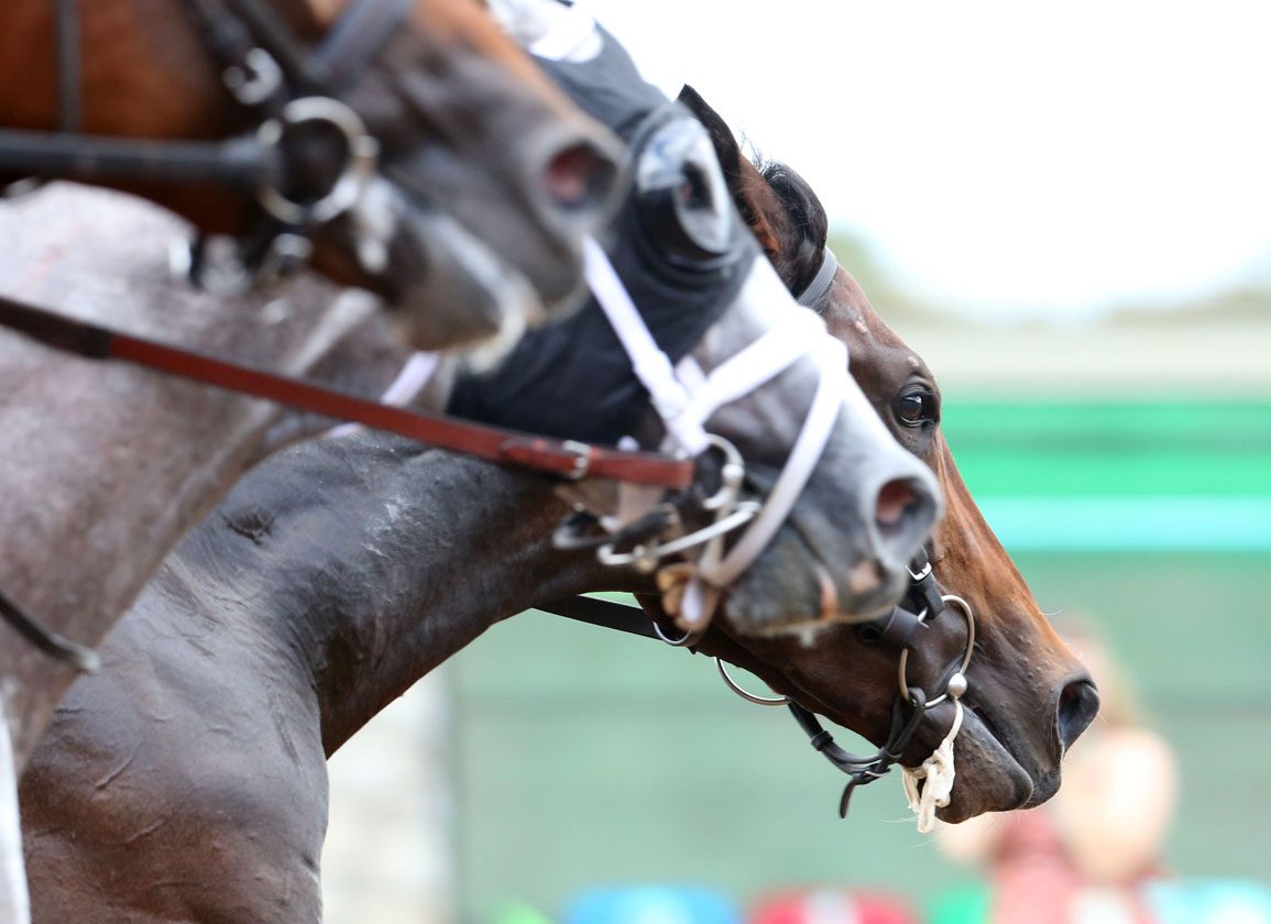 Canada's Assiniboia Downs Wraps Up Solid Meet