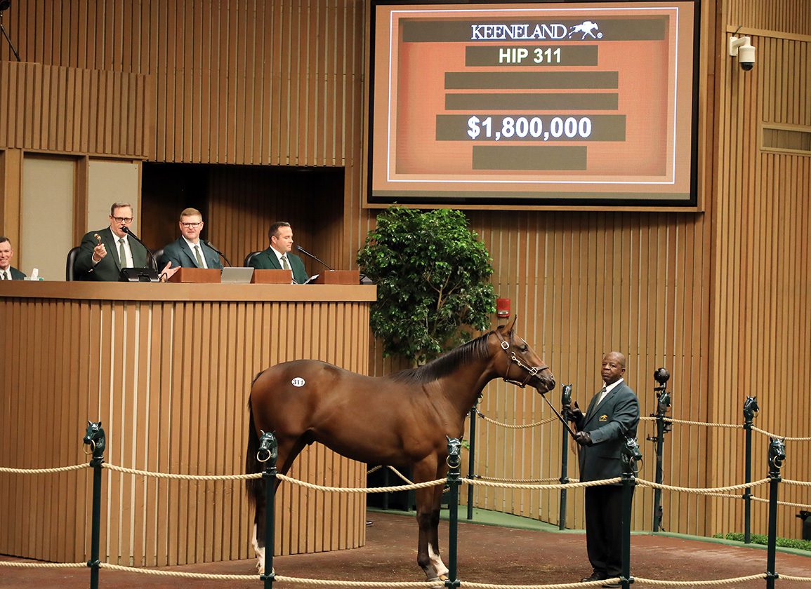 Blockbuster Book 1 Concludes at Keeneland With Another 13 Million-Dollar Yearlings