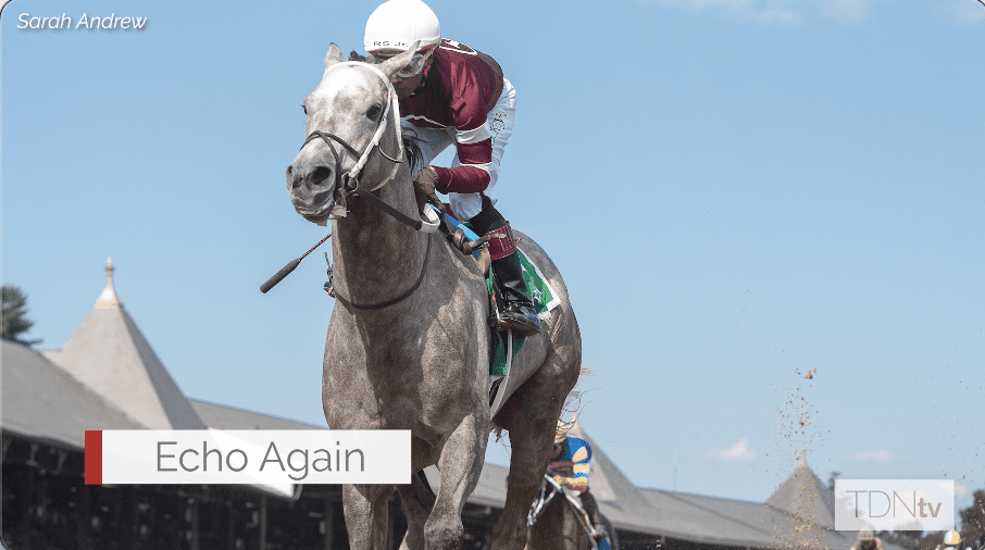 The Weekend Preview Presented by Three Chimneys: Belmont at the Big A