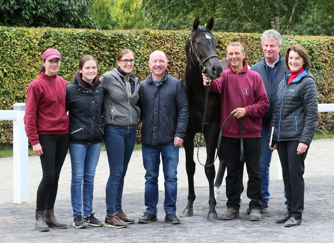 Ten Sovereigns Filly Fetches Record €300,000 At Sportsman's Sale 
