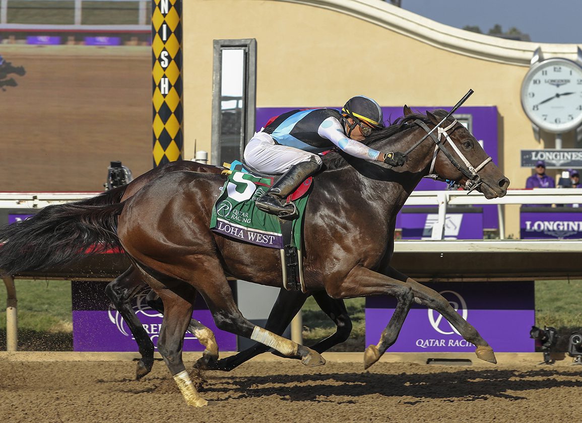 Aloha West to Stand at Mill Ridge After Breeders' Cup