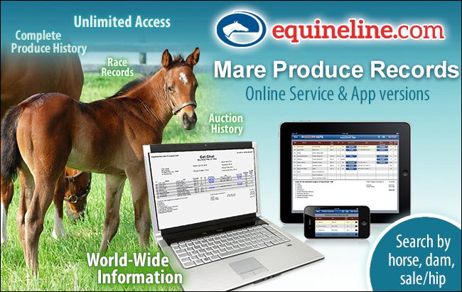 Equineline (Mare Produce Records) October 18, 22