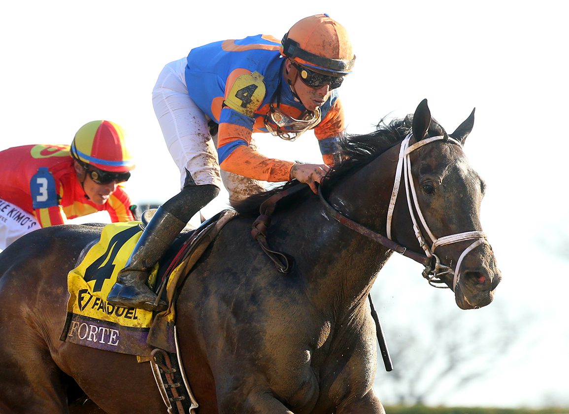 Violence's Forte Sweeps to Breeders' Cup Juvenile Win