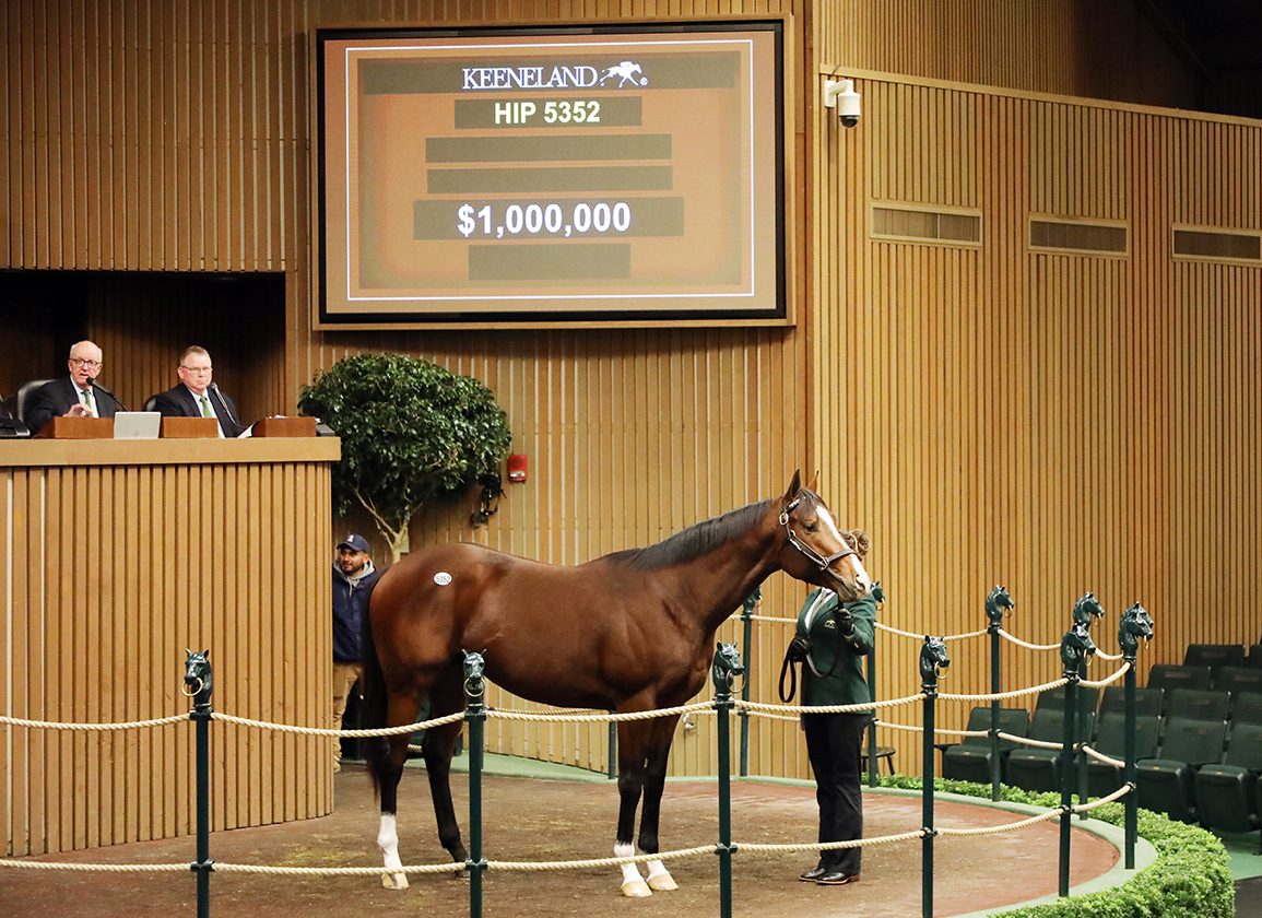 Late Fireworks for Unraced $1-Million Into Mischief Colt at Keeneland