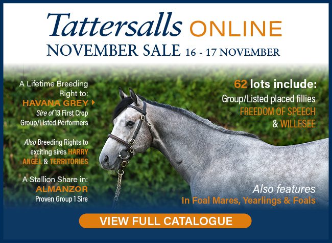 Tattersalls Online 11-15-22
