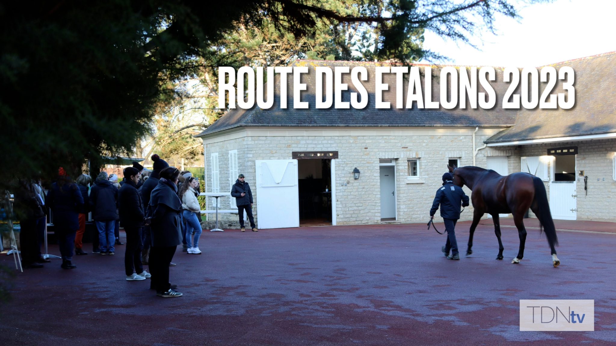 Highlights From La Route Des Etalons 2023