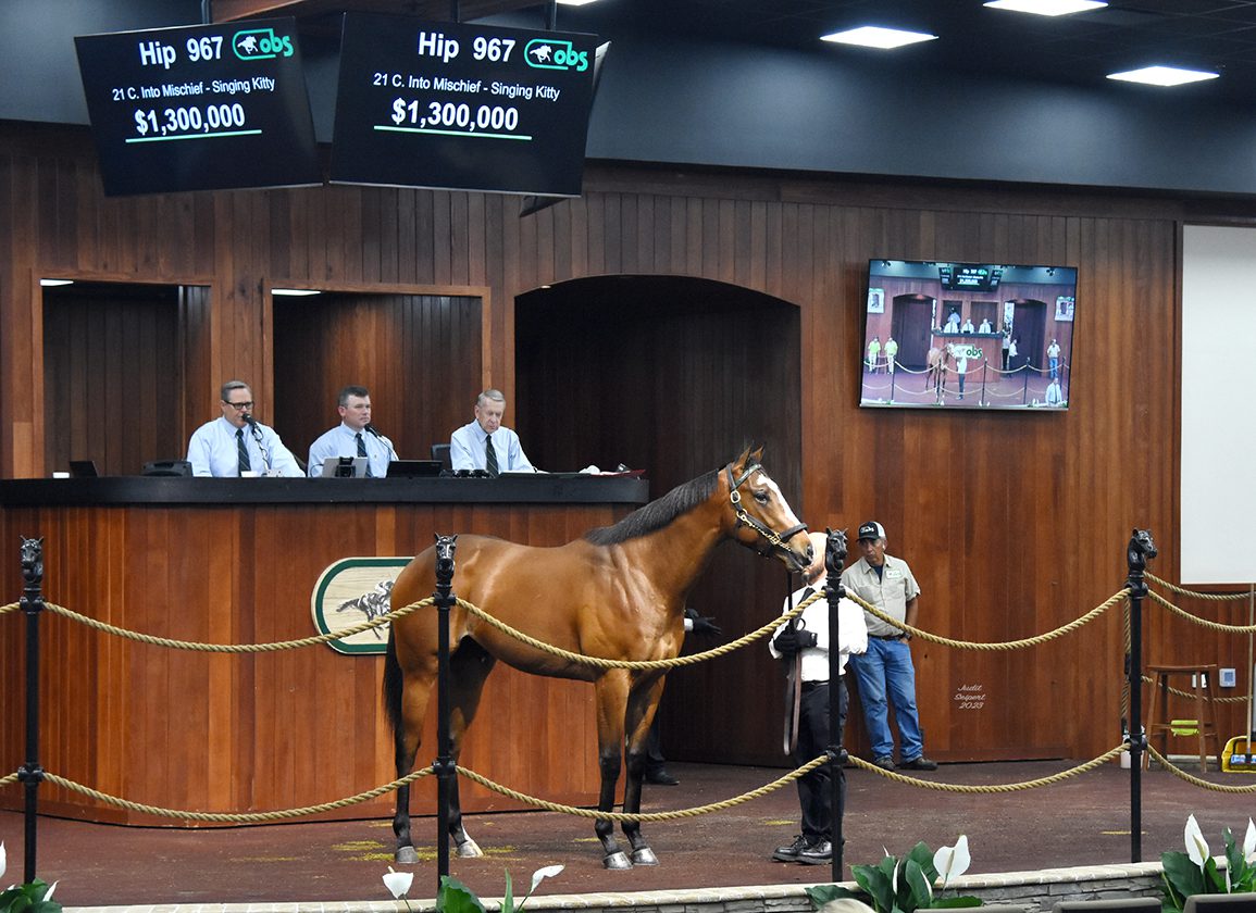 Steady Results as $1.3-Million Into Mischief Colt Stars at OBS Finale