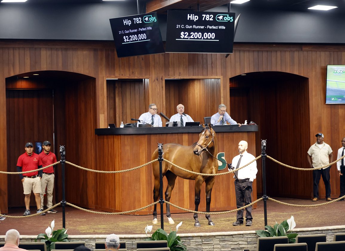 $2.2-Million Gun Runner Colt Powers Day Three as OBS Spring Sale Stays the  Course