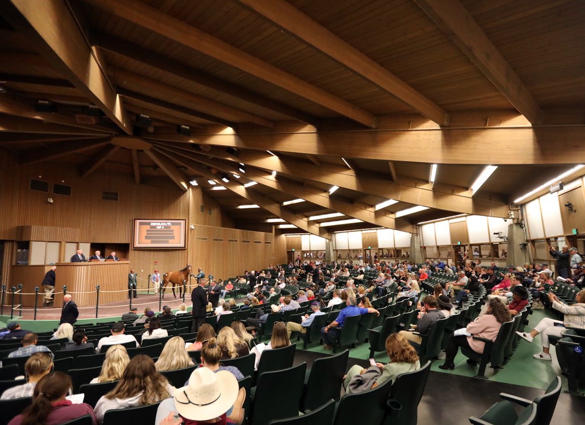 14 Horses Supplemented to Kee April Selected HORA Sale