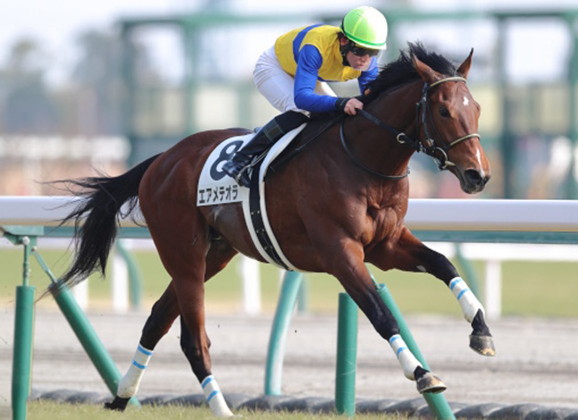 Well-Related Goldencents Colt Tries Dirt at Chukyo