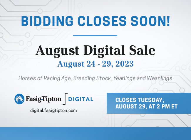 Fasig-Tipton Aug. Digital interstitial 08-29-23