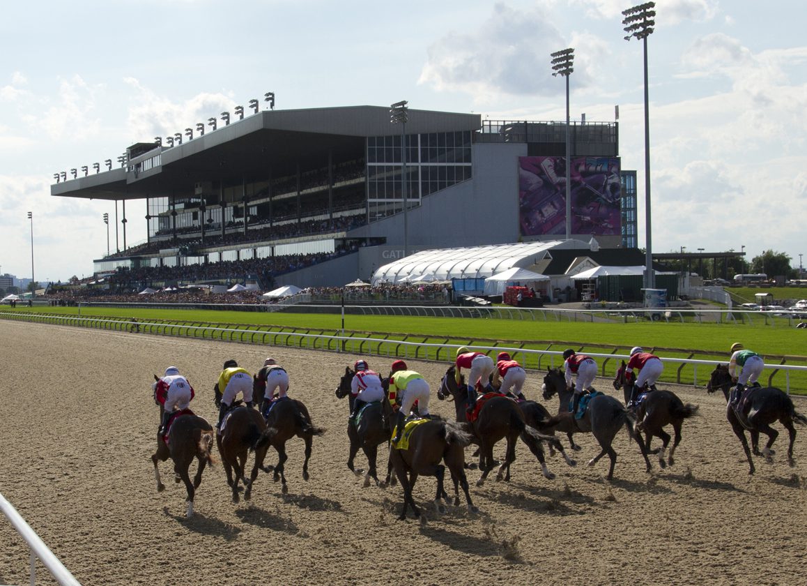 International Federation of Horseracing Authorities to Host Global Summit on Equine Safety and Technology at Woodbine