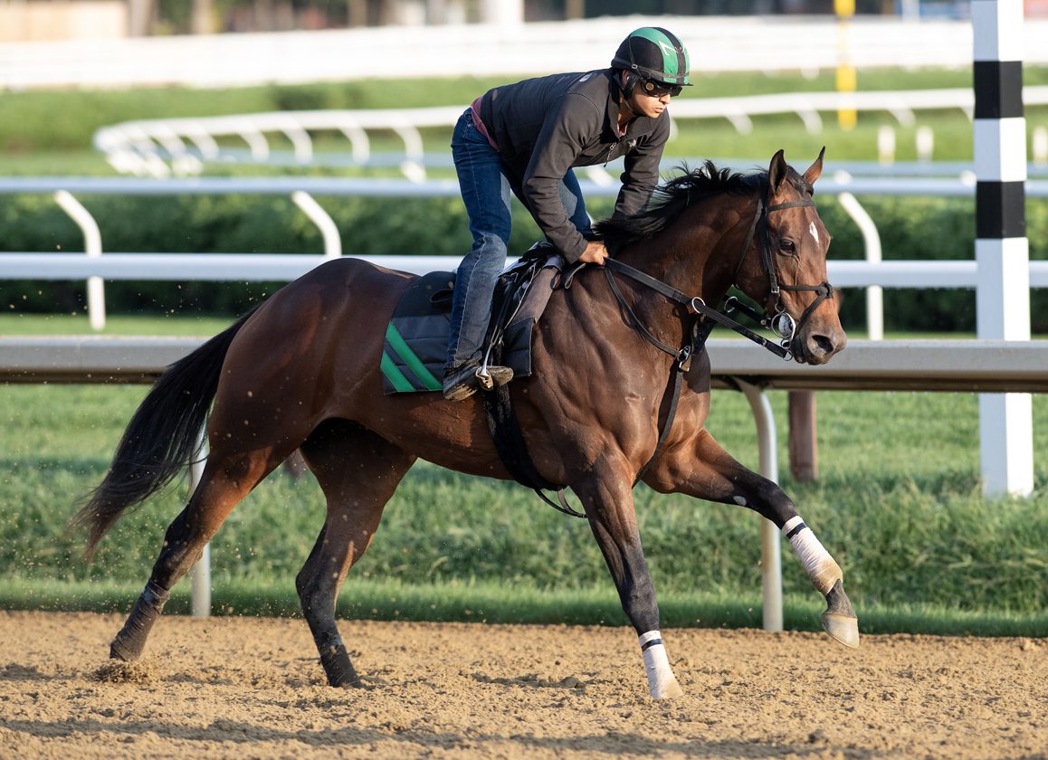 Final Works Continue For Breeders' Cup Weekend
