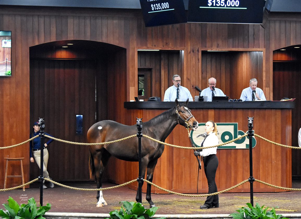Daughter of Bolt d'Oro Tops Day 1 at OBS October Yearling Sale