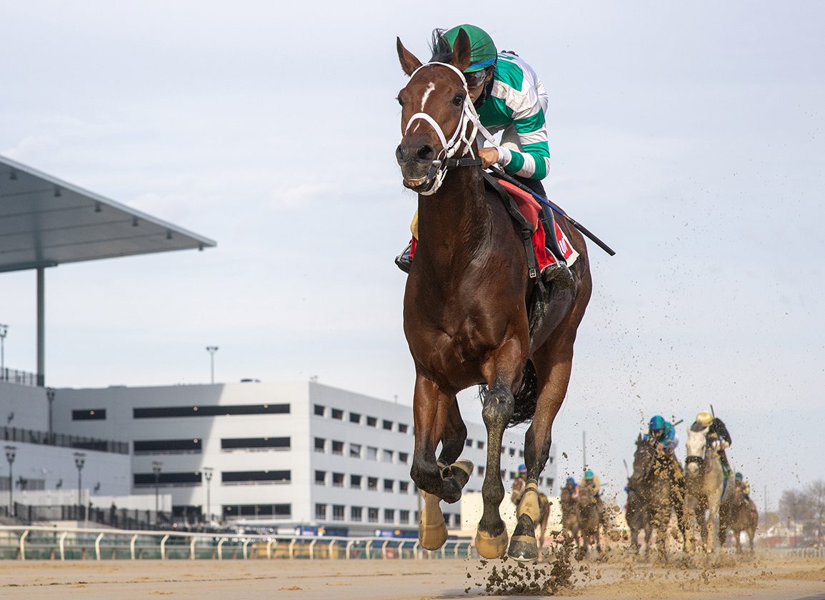 Maclean's Music Firster Frolics In the Mud at Aqueduct