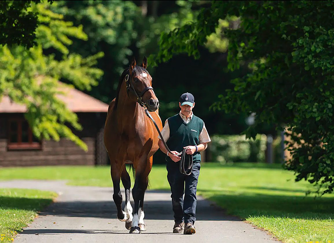 Daughter Of Frankel Catches The Eye At Newmarket