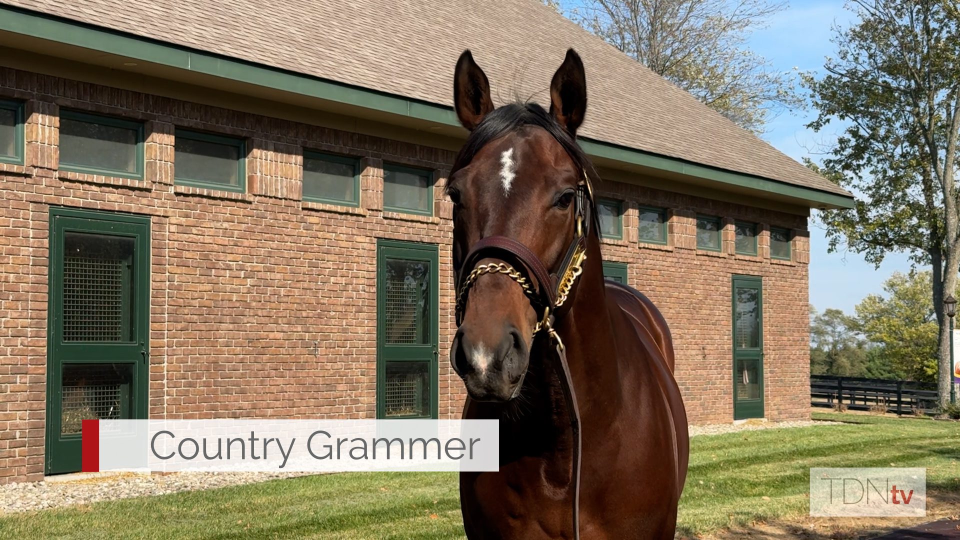 Two Phil's and Country Grammer join WinStar's Stallion Barn