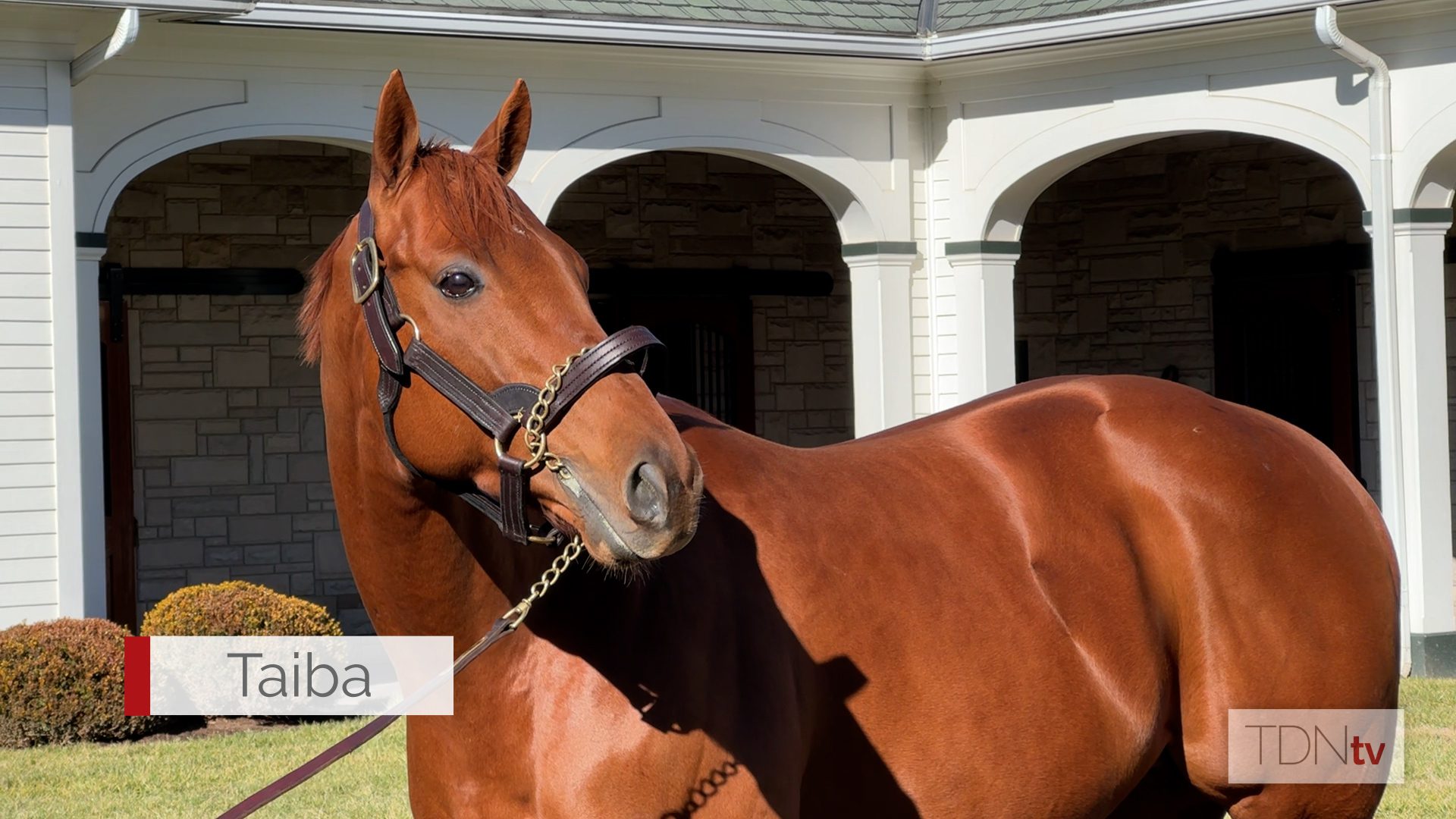Meet the new kids on the block at Spendthrift