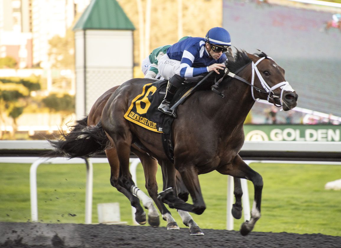 Endlessly Stamps Preakness Ticket With El Camino Real Derby Win