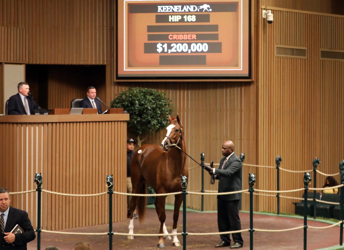 Mating Plans, Presented By Spendthrift: Pin Oak Stud