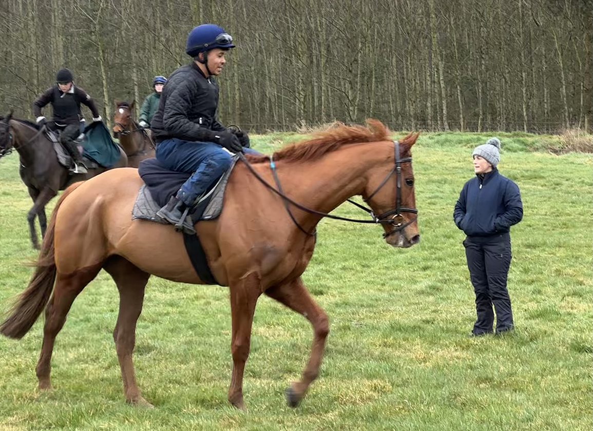 He's Mustard: The Champion Hurdle Contender Carrying Big Dreams for the Fowlers' Small Stable