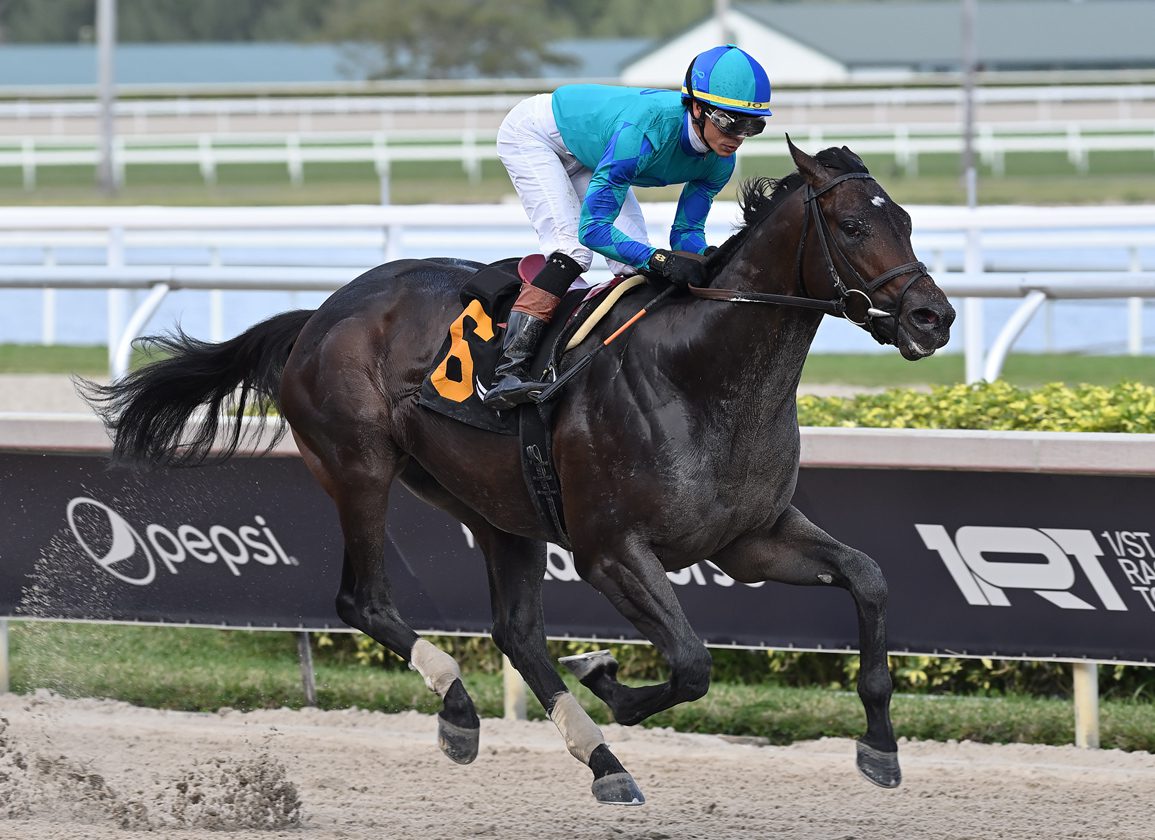 'Rising Star' Conquest Warrior Earns Possible Florida Derby Ticket In GP Allowance Romp