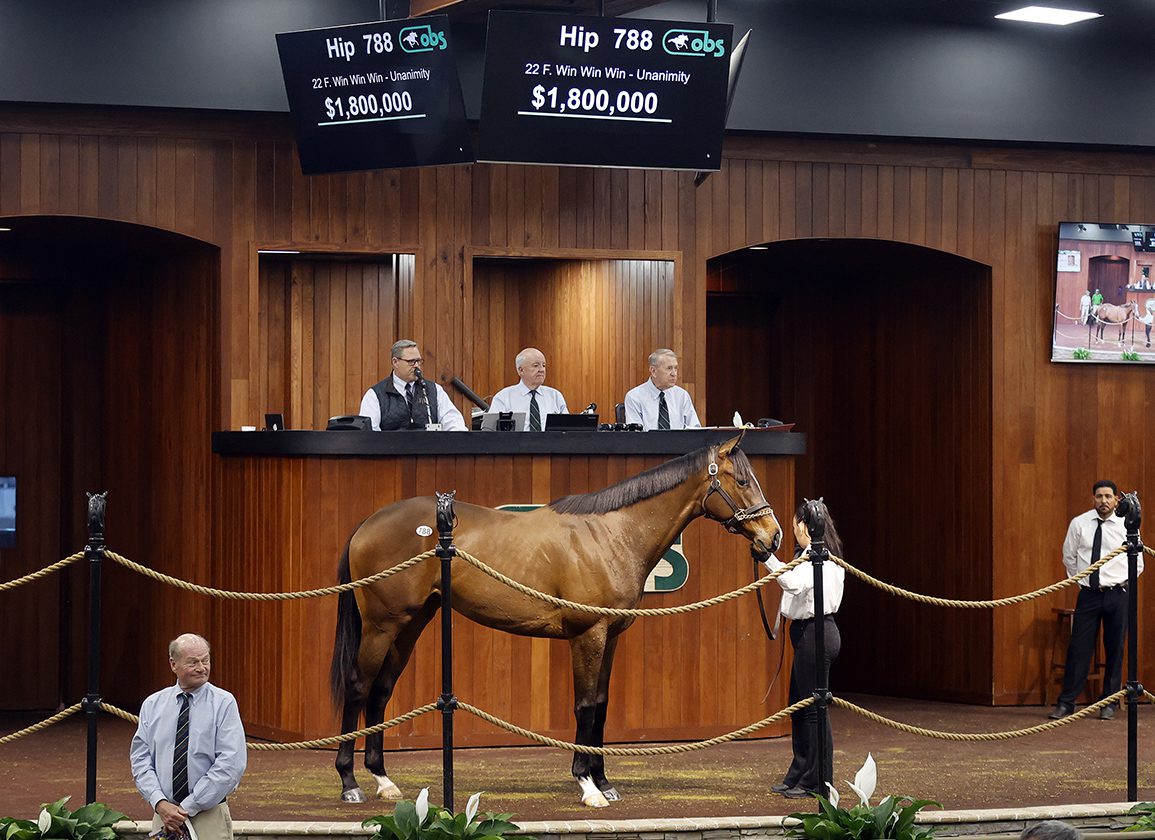 $1.8M Win Win Win Filly Leads the Way as Top of the Market Drives Strong March Sale