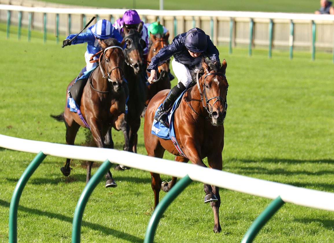 City Of Troy Faces Ten In The 2000 Guineas