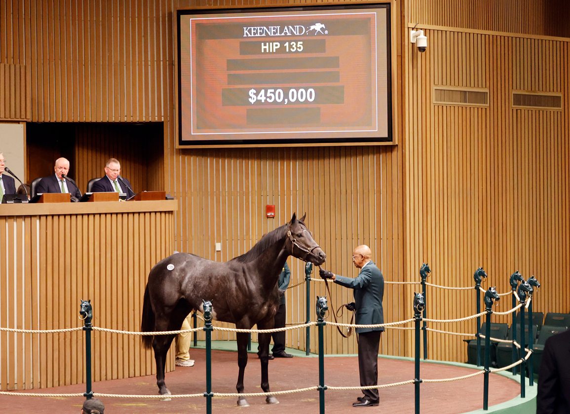 Shopping Spree Continues: John Stewart's Resolute Bloodstock Buys $450k Co-Toppers at Keeneland April