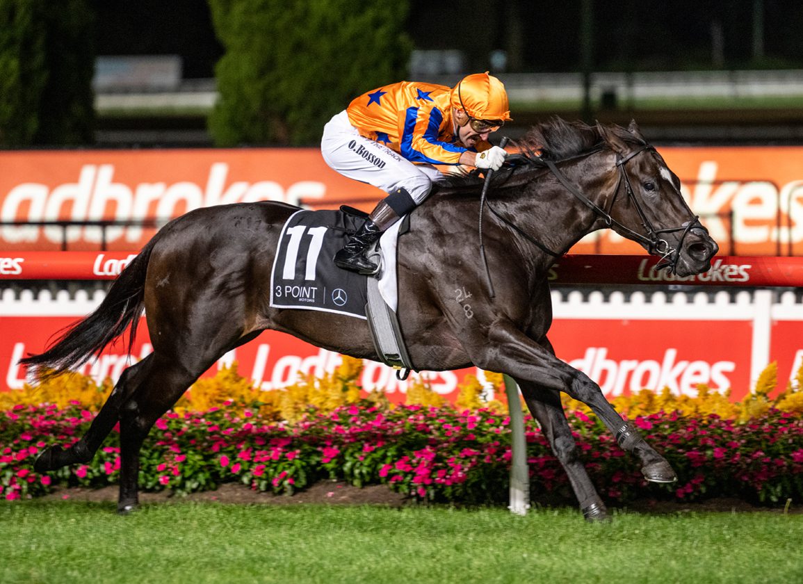 World-Class Sprinter Imperatriz To Be Sold Virtually At Magic Millions