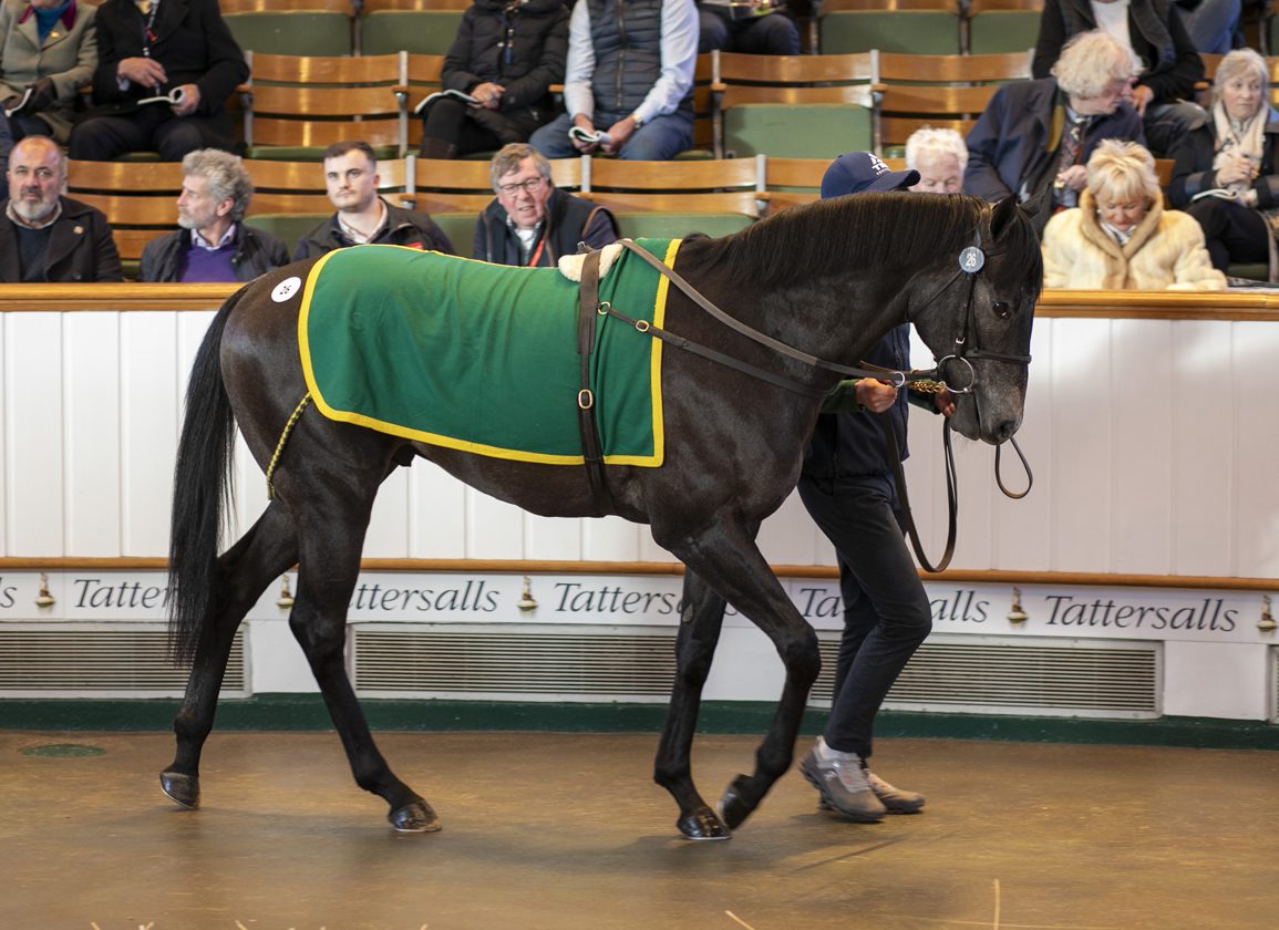 Craven Sale: Walsh In Dreamland As Godolphin Goes To 525k For New Bay Colt 